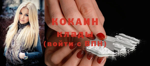 прущие грибы Мегион