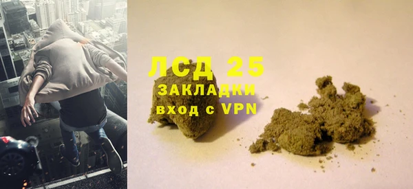 прущие грибы Мегион