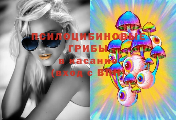 прущие грибы Мегион