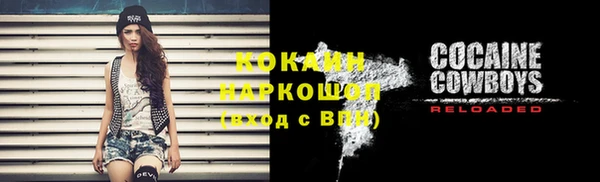 прущие грибы Мегион