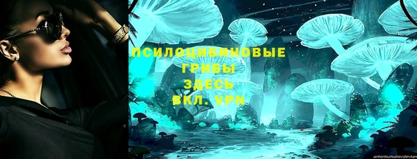 МДМА Медвежьегорск