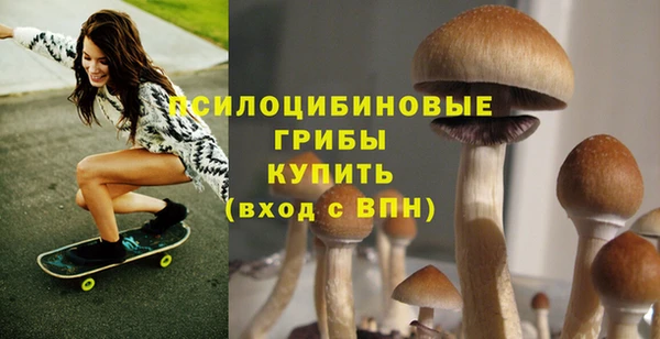 прущие грибы Мегион