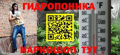 дмт Новозыбков