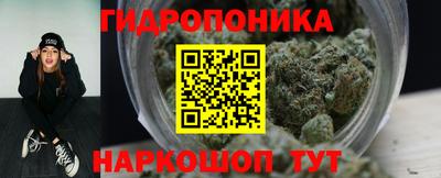 твердый Новокубанск