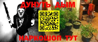 дмт Новозыбков