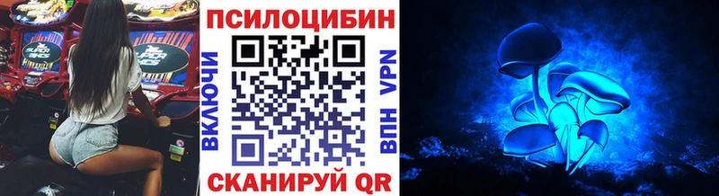 Псилоцибиновые грибы прущие грибы  Евпатория 