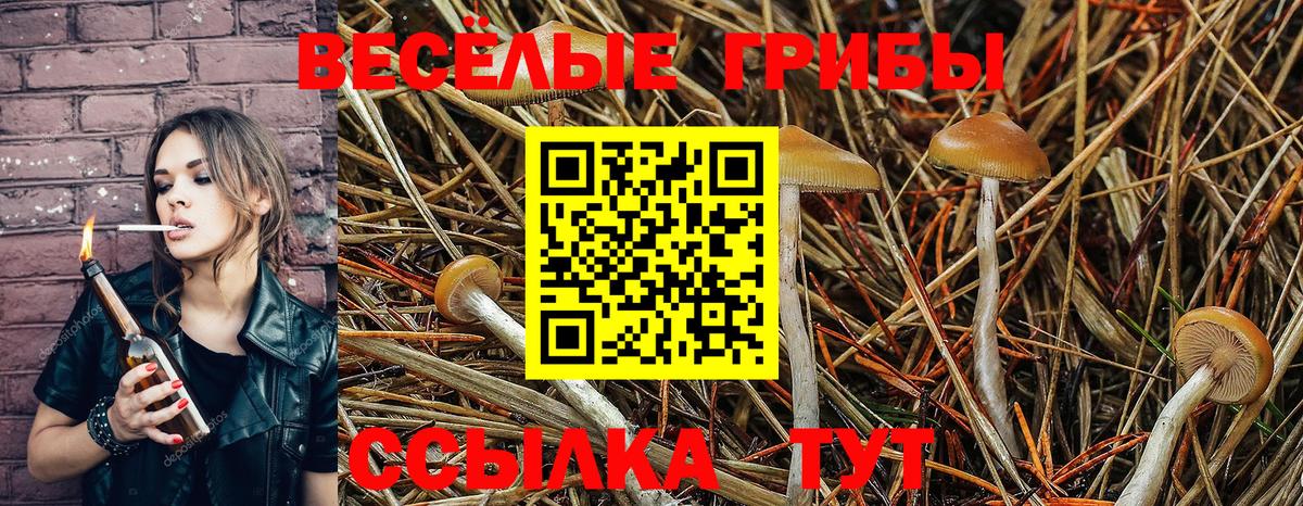 Евпатория  дарнет шоп  Вход с VPN  Галлюциногенные грибы Psilocybe 