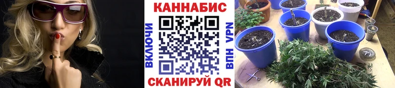 Конопля SATIVA & INDICA мориарти телеграм Евпатория
